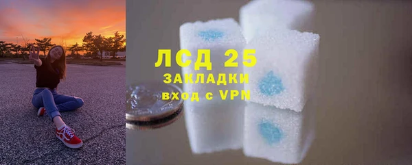 ГАЛЛЮЦИНОГЕННЫЕ ГРИБЫ Алексин
