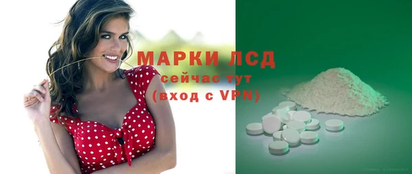 ГАЛЛЮЦИНОГЕННЫЕ ГРИБЫ Алексин