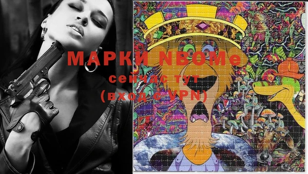 ГАЛЛЮЦИНОГЕННЫЕ ГРИБЫ Алексин
