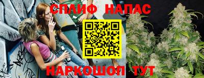 эйфоретик Славгород