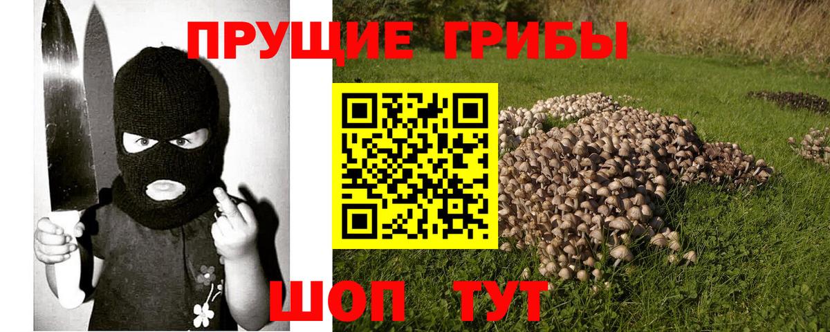 Солнечногорск  Галлюциногенные грибы прущие грибы  Вход с VPN 