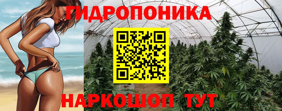Шишки марихуана SATIVA & INDICA Солнечногорск